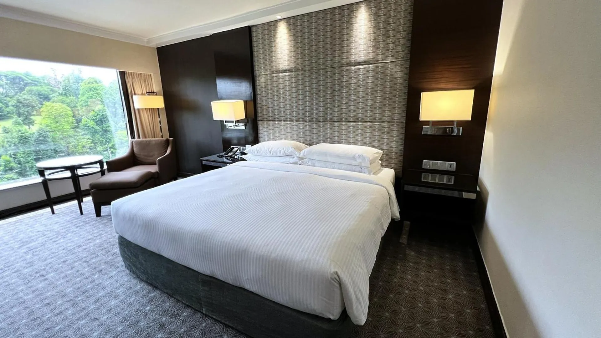 Hotel Holiday Inn Singapore Orchard City Centre By Ihg